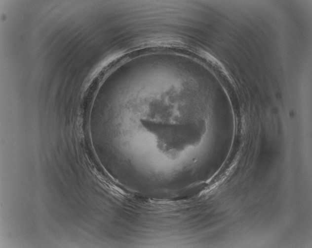 X0000069811019200605191040