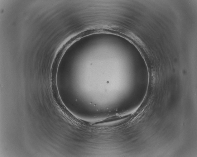 X0000069811020200605191040