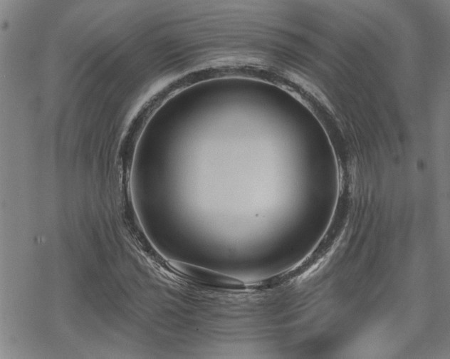 X0000069811021200605191040