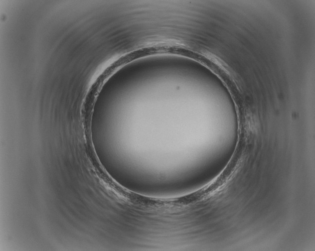 X0000069811022200605191040