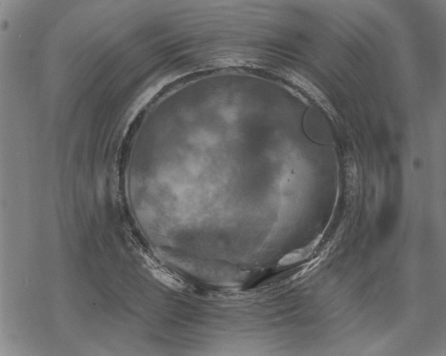 X0000069811023200605191040