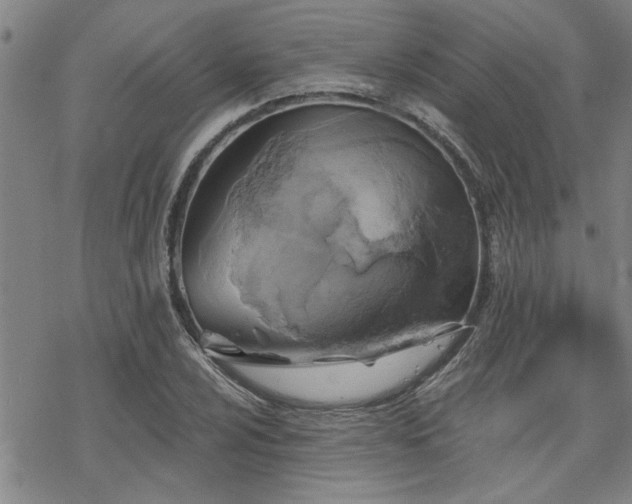 X0000069811024200605191040