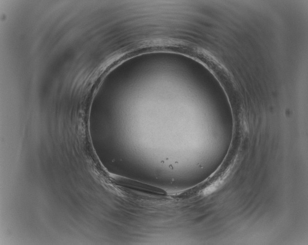 X0000069811025200605191040