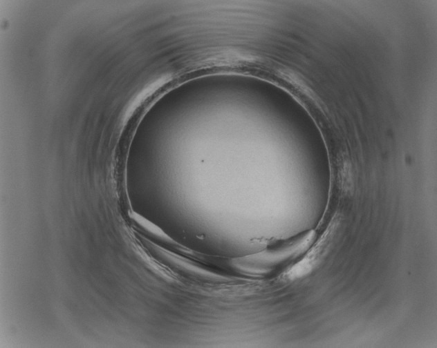 X0000069811026200605191040