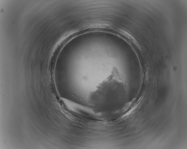 X0000069811027200605191040