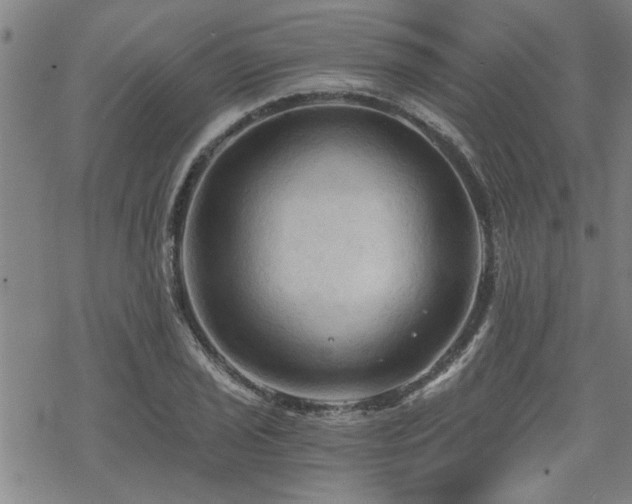 X0000069811029200605191040