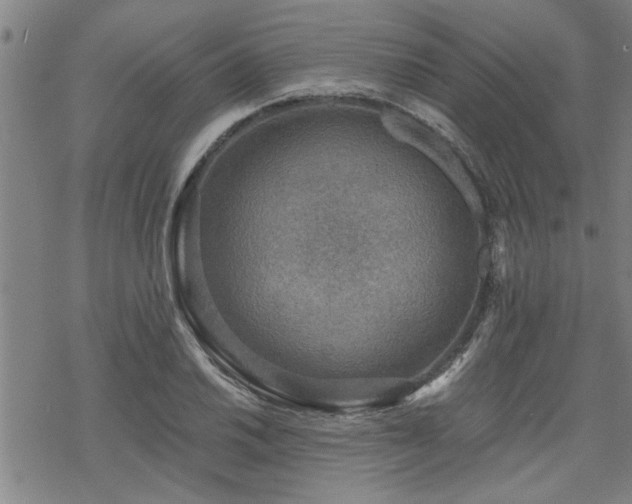 X0000069811030200605191040