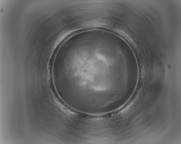 X0000069811031200605191040