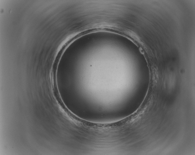 X0000069811032200605191040