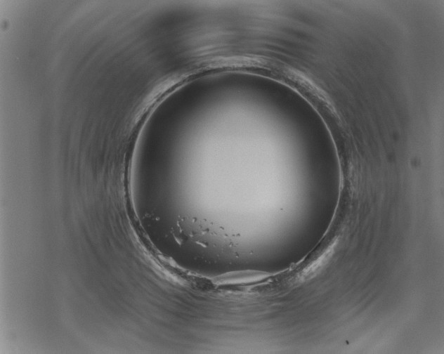 X0000069811033200605191040