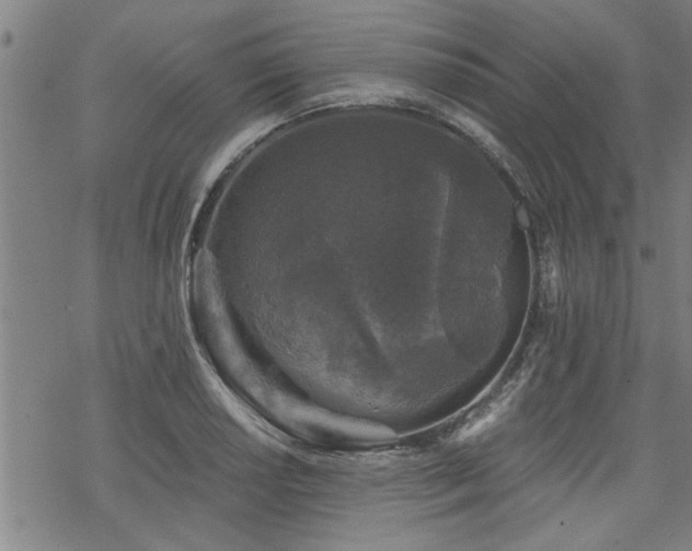 X0000069811034200605191040