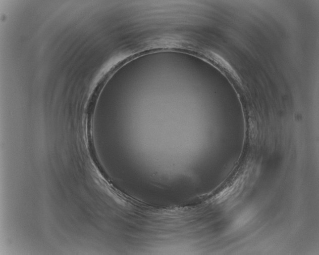 X0000069811035200605191040