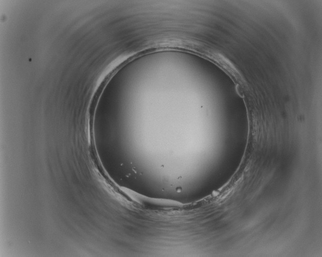 X0000069811036200605191040