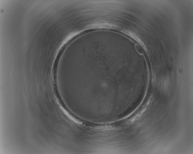 X0000069811037200605191040