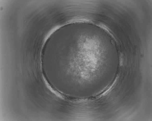 X0000069811038200605191040