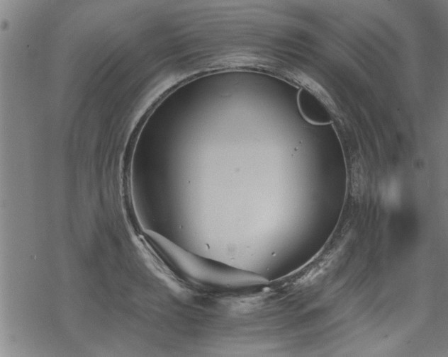 X0000069811039200605191040