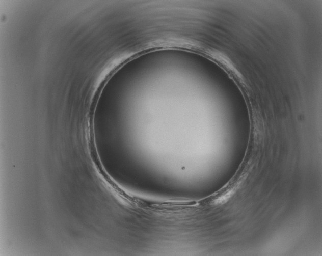 X0000069811040200605191040