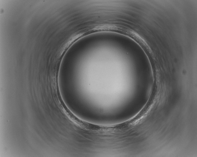 X0000069811041200605191040