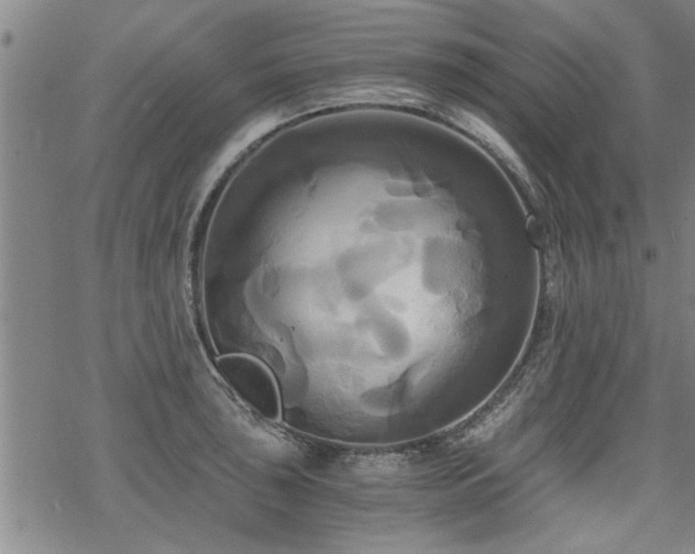 X0000069811043200605191040