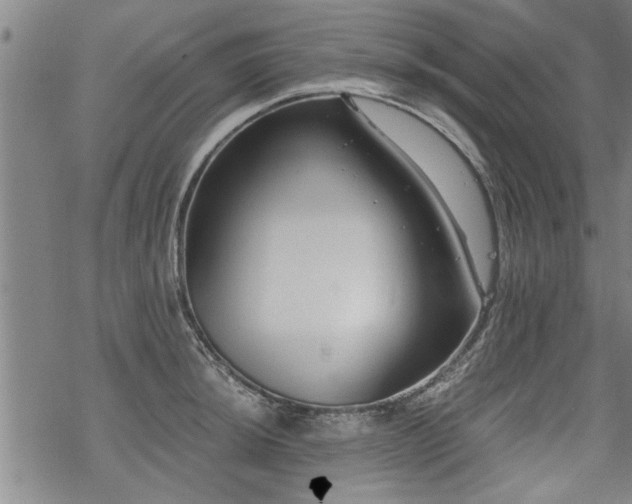 X0000069811044200605191040