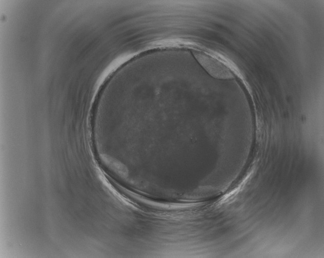 X0000069811045200605191040