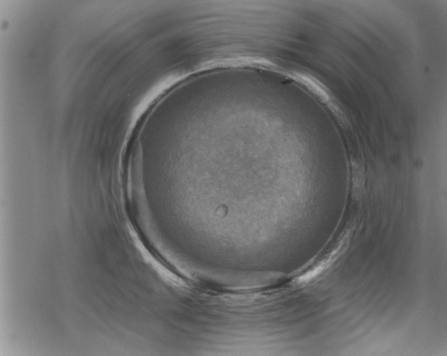 X0000069811046200605191040