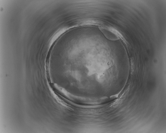 X0000069811047200605191040