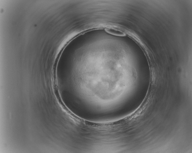 X0000069811048200605191040