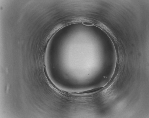 X0000069811049200605191041