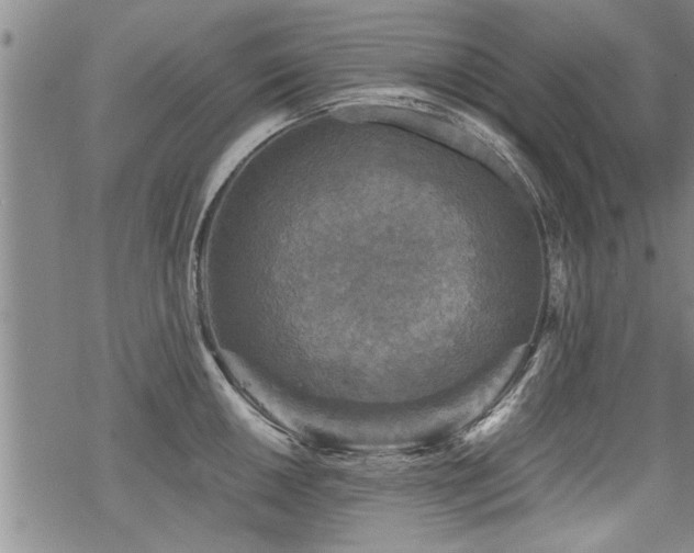 X0000069811050200605191041