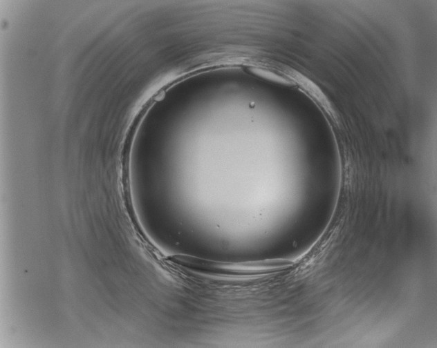 X0000069811051200605191041