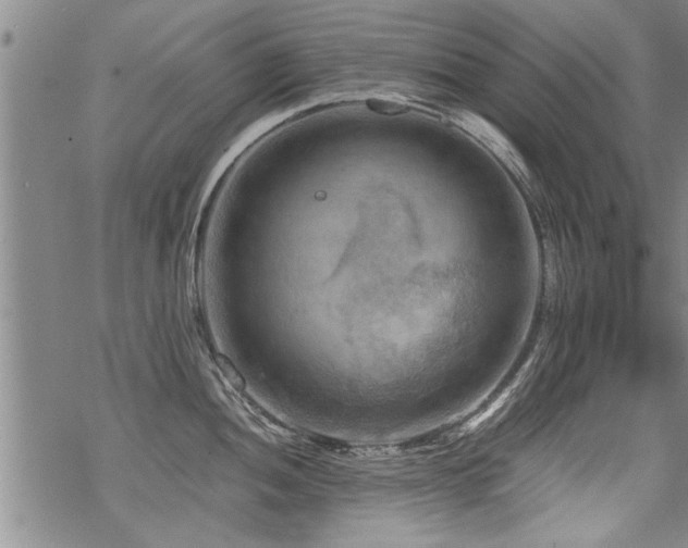 X0000069811052200605191041