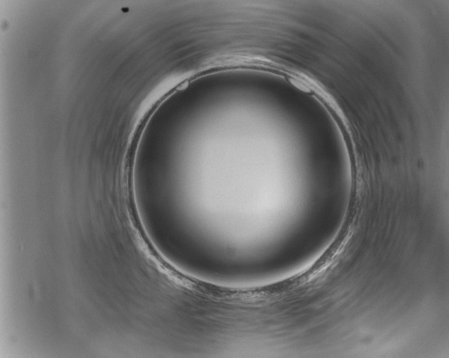 X0000069811053200605191041