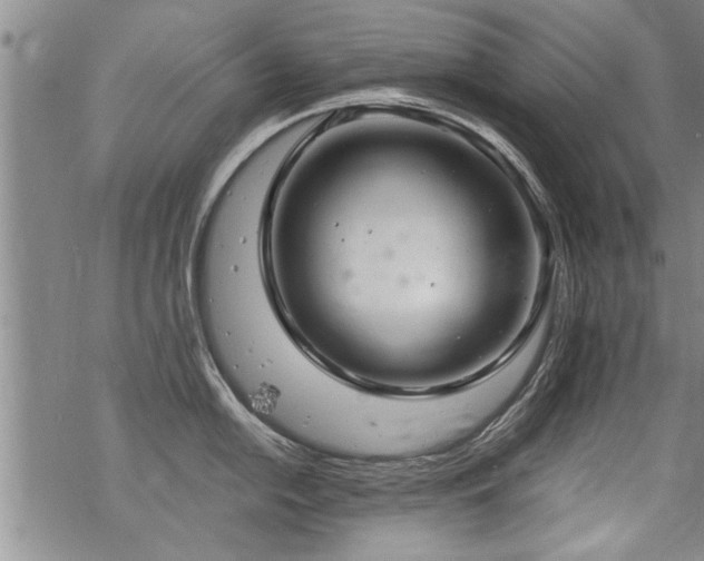 X0000069811054200605191041