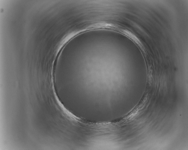 X0000069811055200605191041