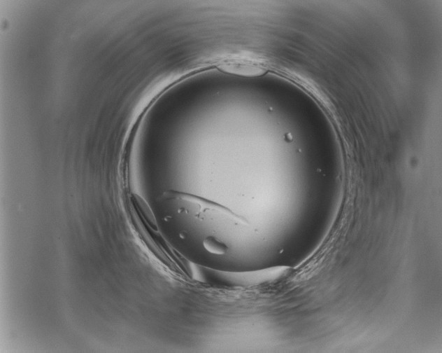 X0000069811056200605191041