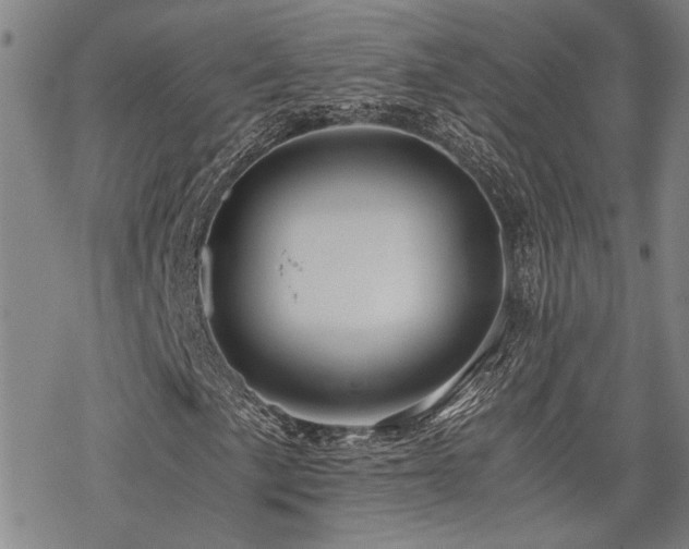 X0000069811057200605191040