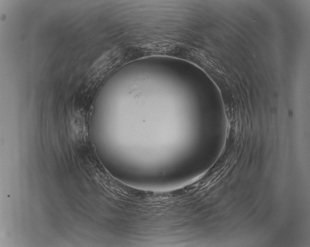 X0000069811058200605191040