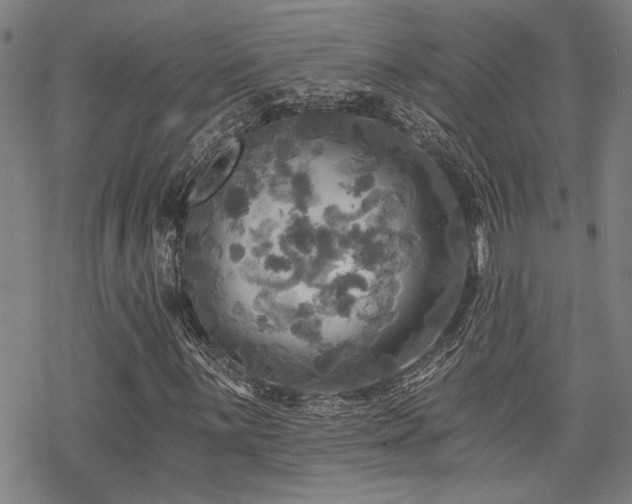 X0000069811059200605191040