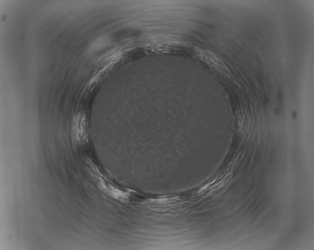 X0000069811060200605191040