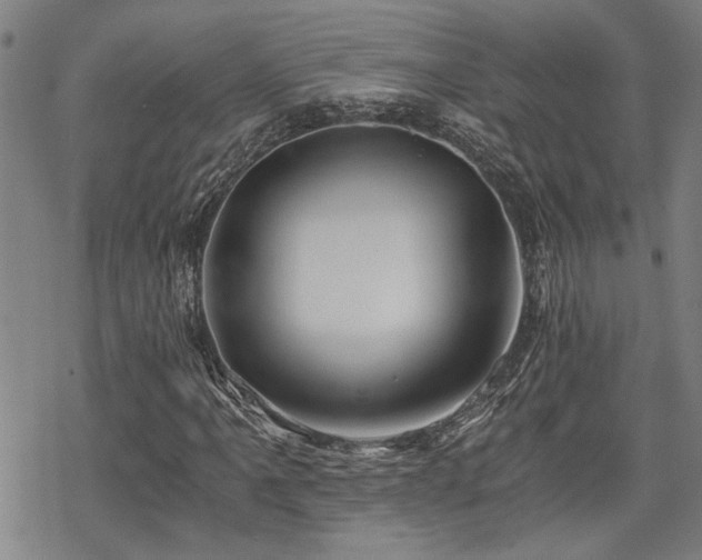 X0000069811061200605191040