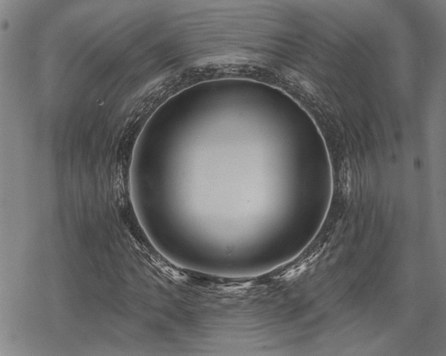 X0000069811062200605191040