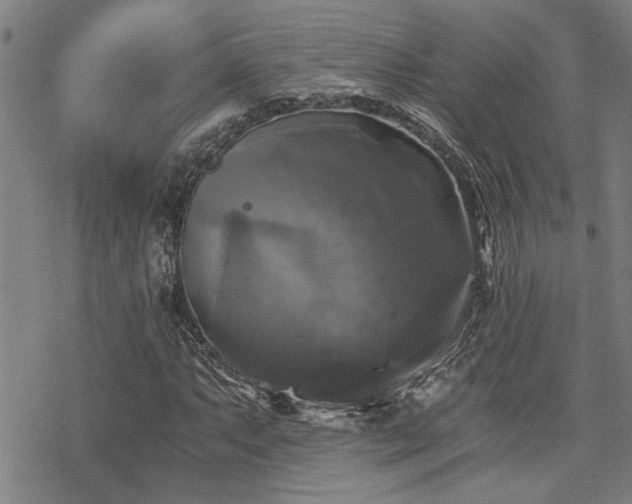 X0000069811063200605191040