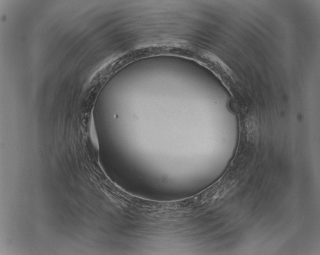 X0000069811064200605191040