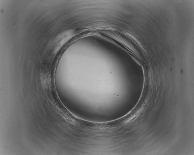 X0000069811065200605191040