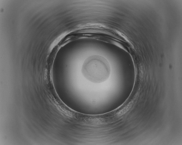 X0000069811066200605191040