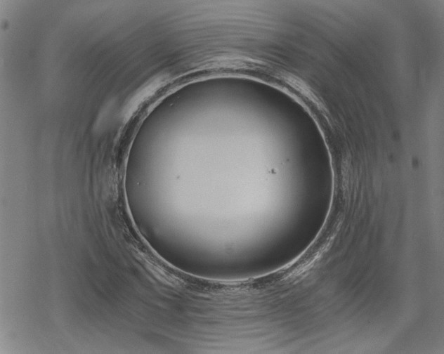 X0000069811067200605191040