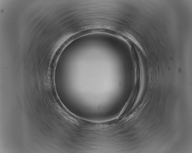 X0000069811068200605191040