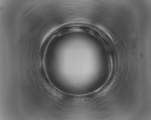 X0000069811069200605191040