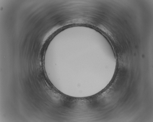 X0000069811070200605191040